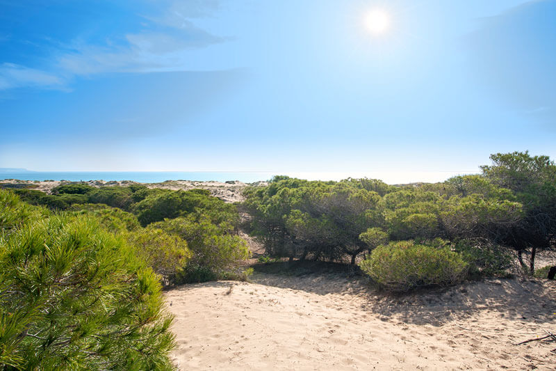 Torrevieja